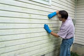 Best Siding Maintenance  in Millport, AL